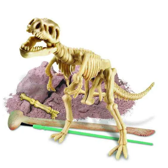 4M dig a tyrannosaurus rex